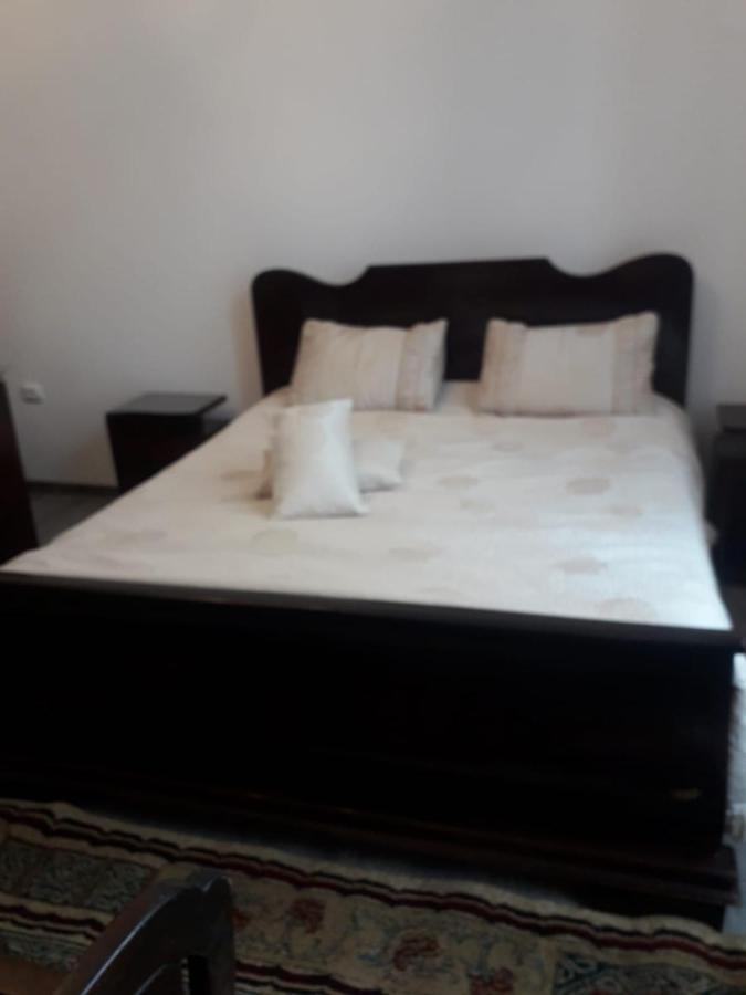 Hotel Casa Continentelor Cîmpulung Esterno foto